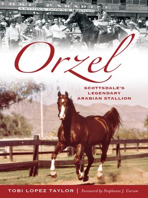 cover image of Orzel
